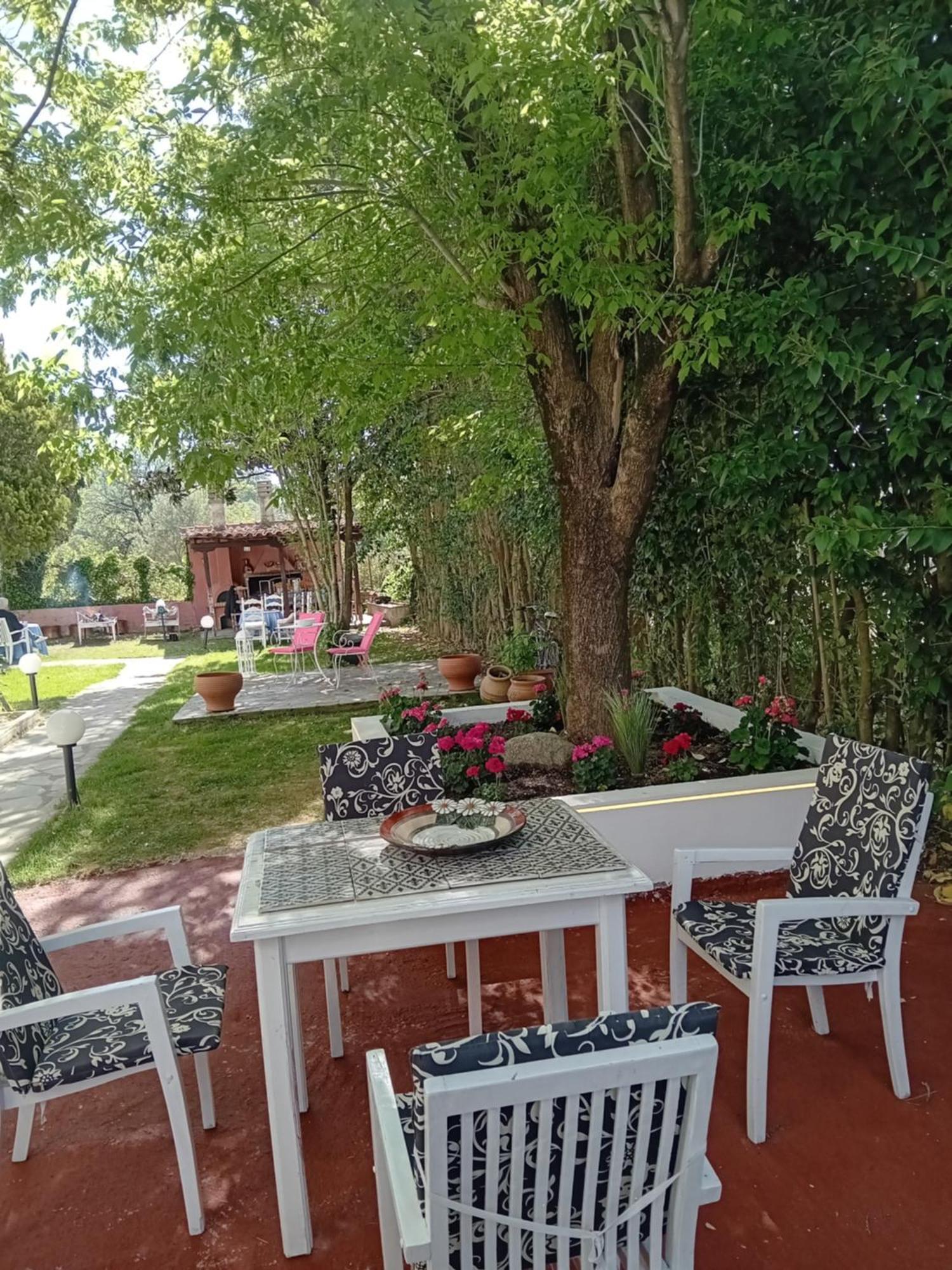 Meteora Grande Luxury Suite & Spa Villa Καλαμπάκα Εξωτερικό φωτογραφία